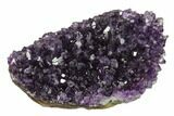Dark Purple, Amethyst Crystal Cluster - Uruguay #139470-1